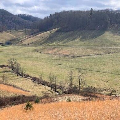 0000 Phipps Creek Rd, Burnsville, NC 28714 - photo 5