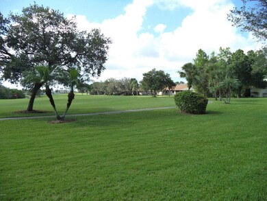 Back Yard 2