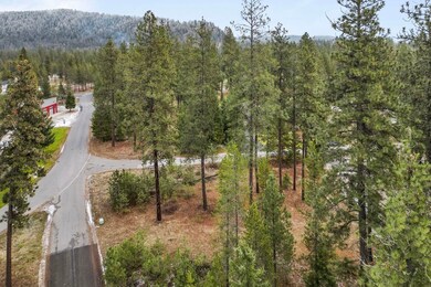 102 Birdie Trail, Chewelah, WA 99109 - photo 2