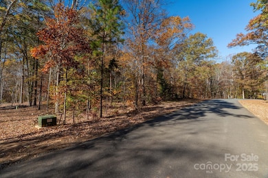 0 Nablus Dr unit 2, Waxhaw, NC 28173 - photo 4