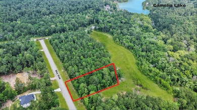 2.5 acres backing up to greenbelt.