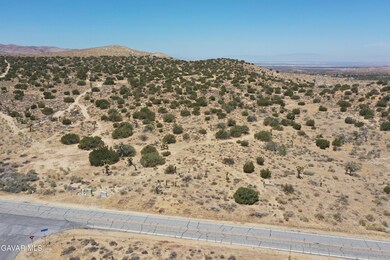 DJI_0954
