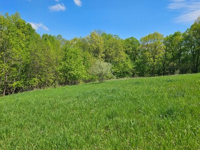 3 Park Ct unit Lot 3, Freeman, WI 54624 - photo 5