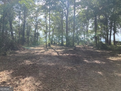 3327 Horseshoe Cove Rd unit LOT 22, Waverly, GA 31565 - photo 6