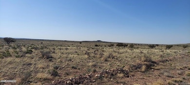 6232 S Prairie Grass Ln unit 294, Williams, AZ 86046 - photo 5