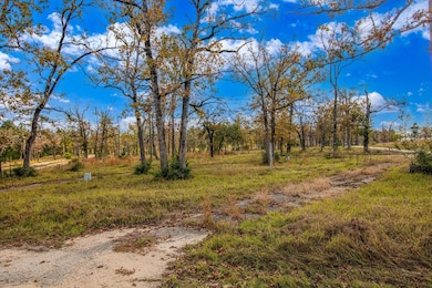 Shadywood Dr, Trinity, TX 75862 - photo 6