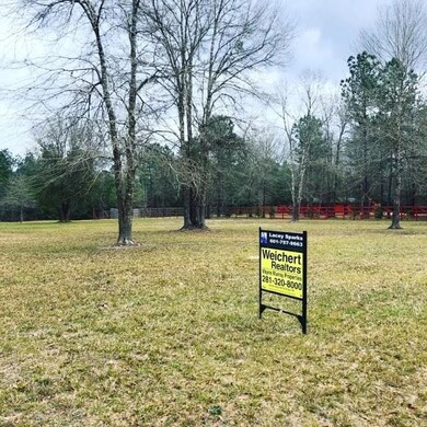 2042 White Buck Ct, Cleveland, TX 77328 - photo 3