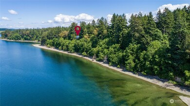 8615 Higgins Cove Rd, Anderson Island, WA 98303 - photo 4