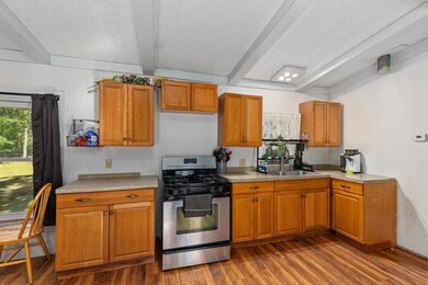 11526 N Bingham Ave, Bitely, MI 49309 - photo 7