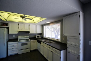 IMG_1387