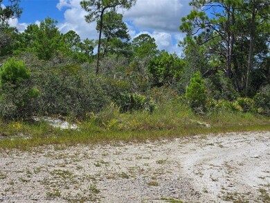 1148 Redbird St, Lake Placid, FL 33852 - photo 3