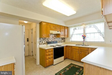 105 Patrick Place, Stephens City, VA 22655 - photo 5