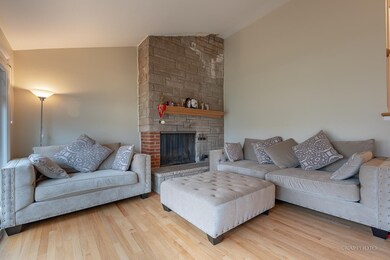 326 E Church St, Elmhurst, IL 60126 - photo 4