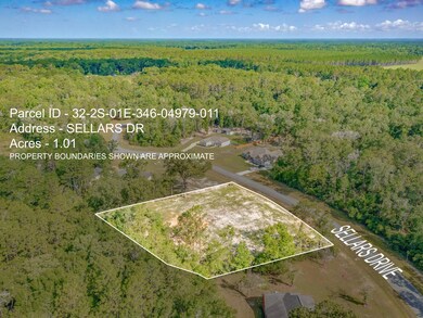 XX Sellars, Crawfordville, FL 32327 - photo 4