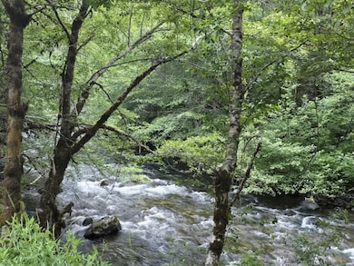 10777 Caves Hwy, Cave Junction, OR 97523 - photo 2