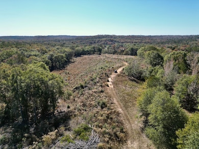 0000 Highway 82, Eufaula, AL 36027 - photo 7