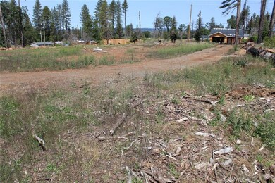 686 Bille Rd, Paradise, CA 95969 - photo 5