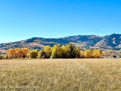 Canyon Wren fall photo3