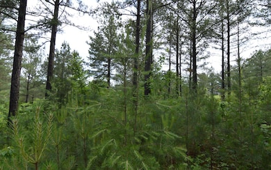 Additional View