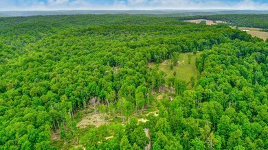 15.18ac Mount Helen Rd, Allardt, TN 38504 - photo 7