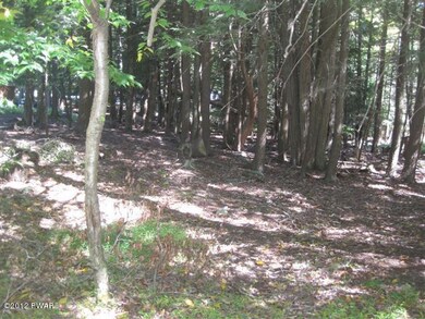 30 Red Hawk Dr, Paupack Township, PA 18436 - photo 3