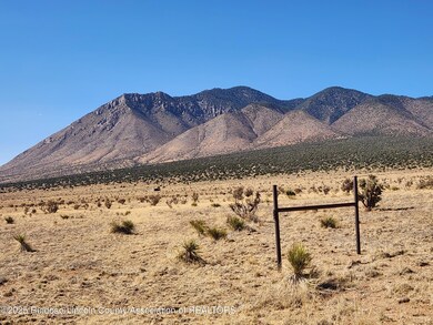L4 O Bar O Rd, White Oaks, NM 88301 - photo 4