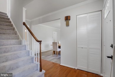 5023 Mignonette Ct, Annandale, VA 22003 - photo 6