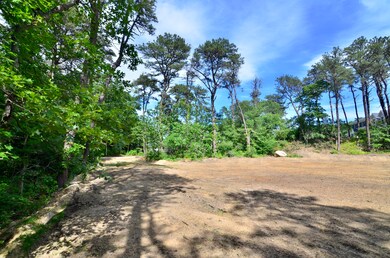 6 Major's Cove Ln, Edgartown, MA 02539 - photo 3