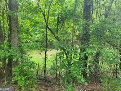 0 Fincherville Rd unit TRACT 3 10435292, Jackson, GA 30233 - photo 4