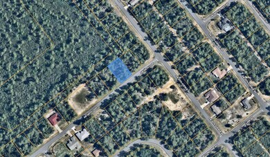 Lot 51 SW 168th Loop, Ocala, FL 34473 - photo 2