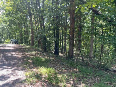 Lot B8 Cross Mountain Rd, Luray, VA 22835 - photo 5