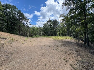 6292 Trough Rd, Moorefield, WV 26836 - photo 6