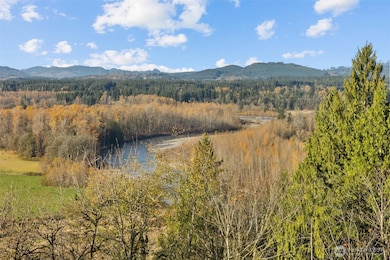 9813 Moran Rd, Arlington, WA 98223 - photo 4