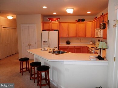 140 Bucktown Crossing unit 32E, Pottstown, PA 19465 - photo 6