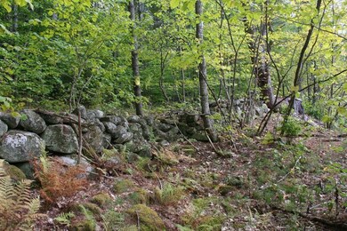 Stone wall runs entire length of lot...