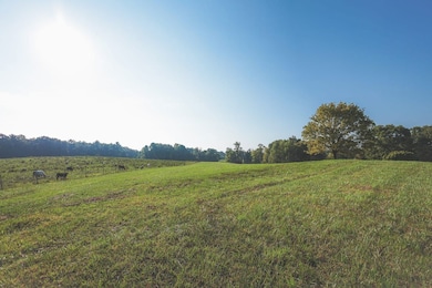 1784 Odgen Rd, Dayton, TN 37321 - photo 4