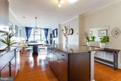 815 N Patrick St unit 205, Alexandria, VA 22314 - photo 5