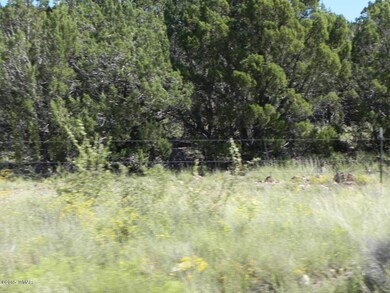 Bourdon Ranch Road Property 003