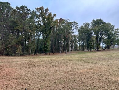 1 Yokum Trail, Many, LA 71449 - photo 7