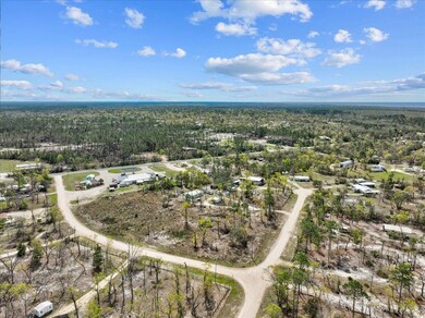 00 Sea Oaks Loop, Keaton Beach, FL 32348 - photo 7