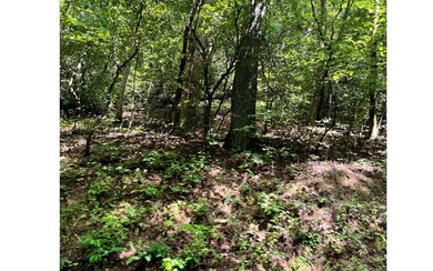 Additional View