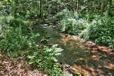 210 Turkey Ln, Cresco, PA 18326 - photo 3