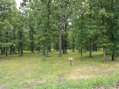 293 Edge Water, Eufaula, OK 74432 - photo 6