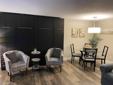 1093 Canyon Rd unit 406, Wisconsin Dells, WI 53965 - photo 4