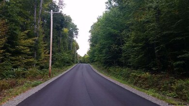 54 Lincoln Mountain Rd, Greenfield Center, NY 12833 - photo 6