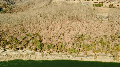 104 W Golden Island, Nancy, KY 42544 - photo 3