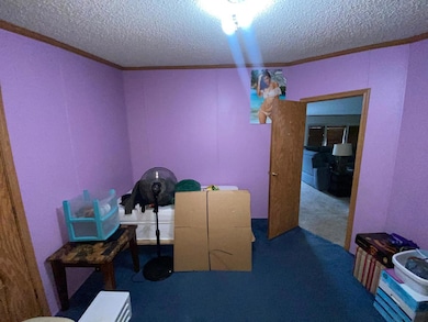 207 S Main St, Fithian, IL 61844 - photo 6