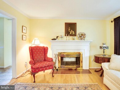 8514 Doter Dr, Alexandria, VA 22308 - photo 6