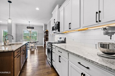 12730 Myrtle Ridge Ln, Knoxville, TN 37932 - photo 6