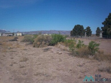 xx Sundown Rd SE, Deming, NM 88030 - photo 5